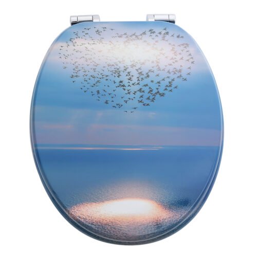 Sea Birds