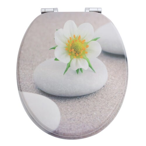 Health Stone