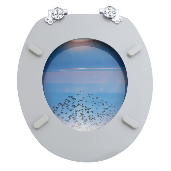 Sea Birds