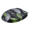 Solid Wood Printed Colorful and Thickened Toilet Seat for Home Use