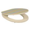 Elevate Your Bathroom Experience with Our High - Quality Solid WoodPrinted Colorful and Thickened Toilet Seat for Home Use
