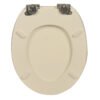 Elevate Your Bathroom Experience with Our High - Quality Solid WoodPrinted Colorful and Thickened Toilet Seat for Home Use
