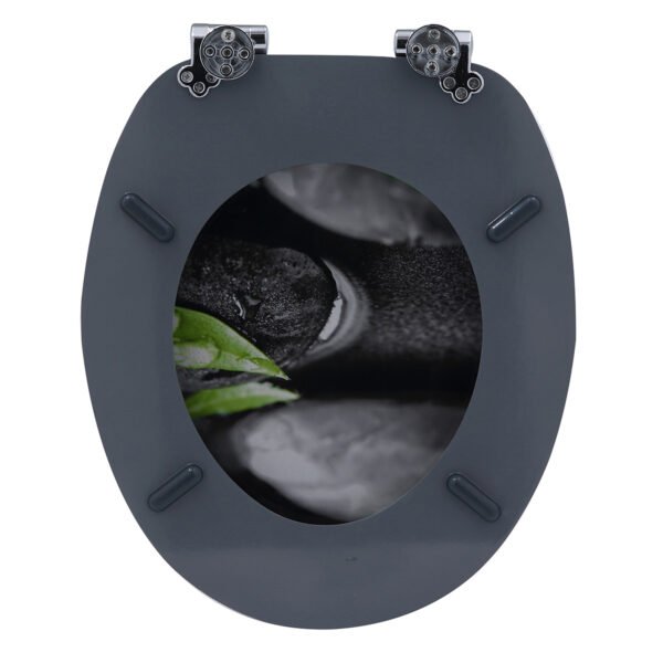 Solid Wood Printed Colorful and Thickened Toilet Seat for Home Use