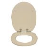 Elevate Your Bathroom Experience with Our High - Quality Solid WoodPrinted Colorful and Thickened Toilet Seat for Home Use