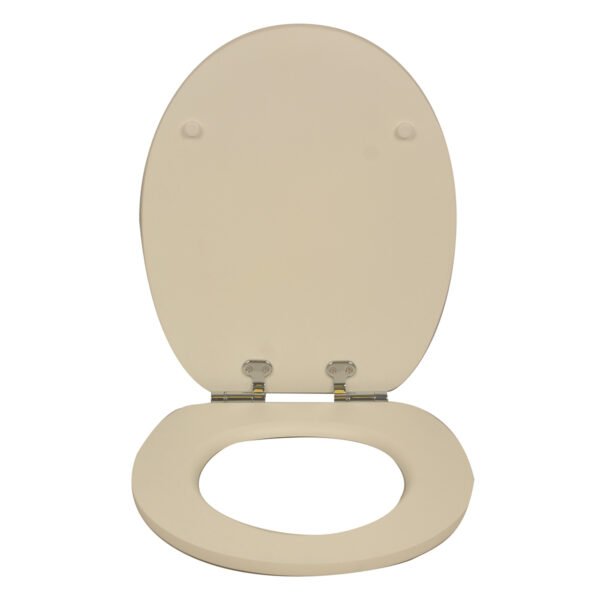 Elevate Your Bathroom Experience with Our High - Quality Solid WoodPrinted Colorful and Thickened Toilet Seat for Home Use