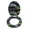 Solid Wood Printed Colorful and Thickened Toilet Seat for Home Use
