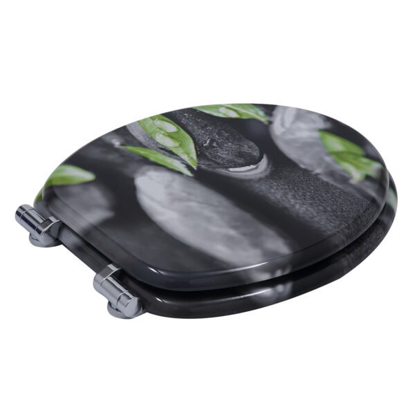 Solid Wood Printed Colorful and Thickened Toilet Seat for Home Use